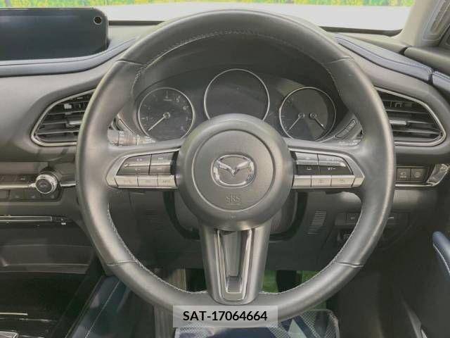 Mazda CX-30 2019-12 379312-11