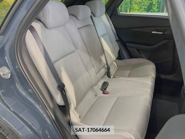 Mazda CX-30 2019-12 379312-9