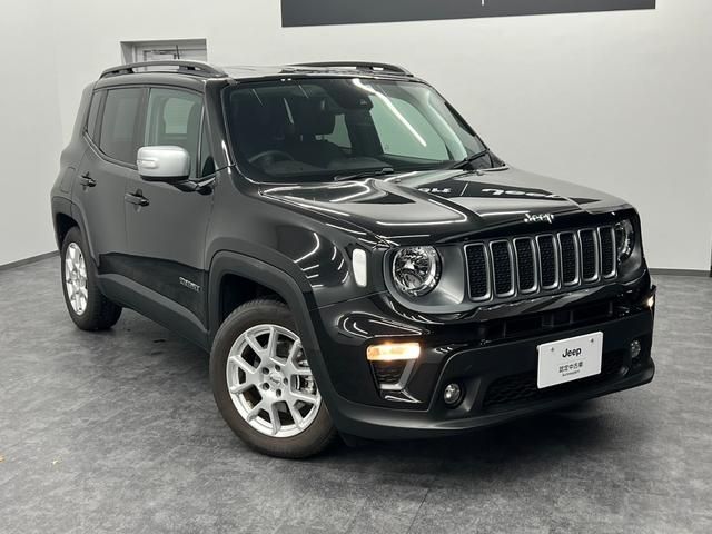 Jeep RENEGADE 2022-06 183192-4