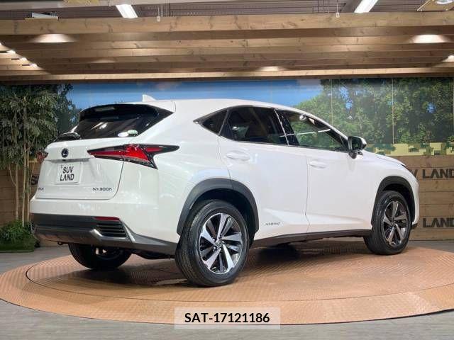 Lexus NX 2018-03 354062-17