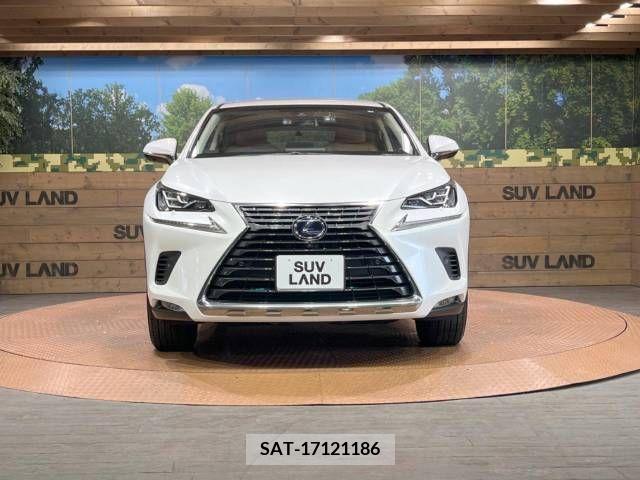 Lexus NX 2018-03 354062-14