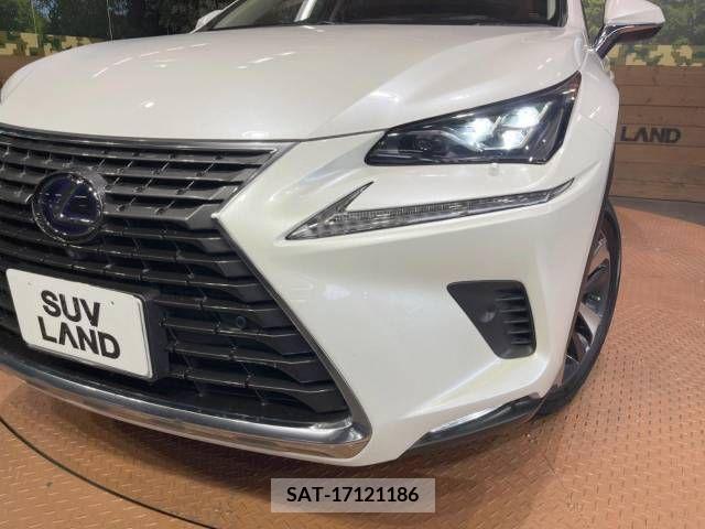Lexus NX 2018-03 354062-12