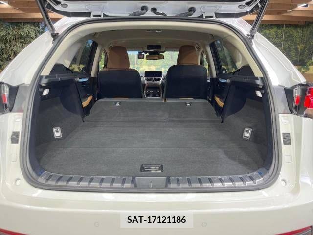 Lexus NX 2018-03 354062-11