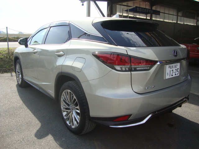 Lexus RX 2020-10 10574-2