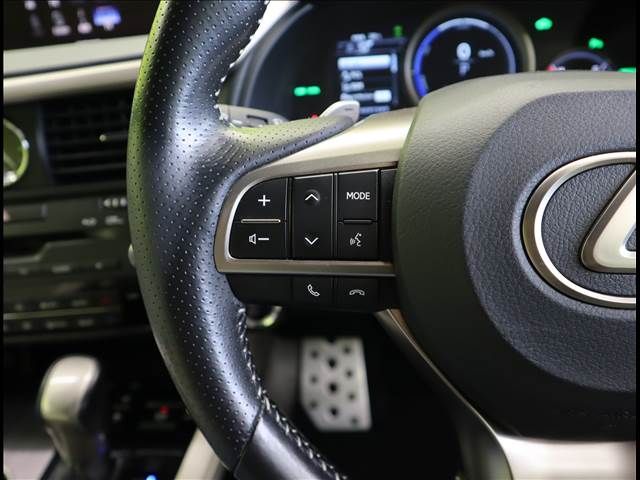 Lexus RX 2018-05 12299-8