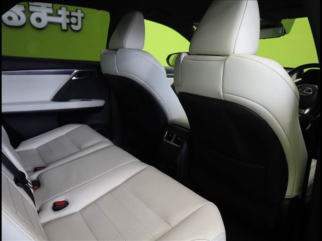 Lexus RX 2018-05 12299-27