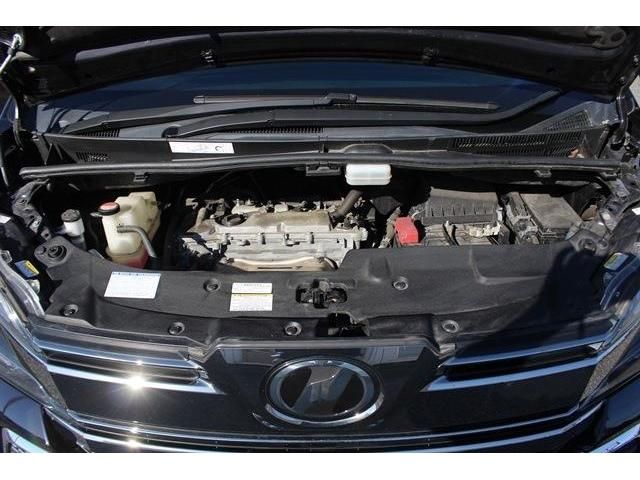 Toyota VELLFIRE 2016-12 190431-19