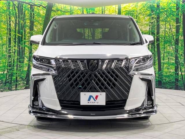 Toyota ALPHARD 2021-03 9929-15