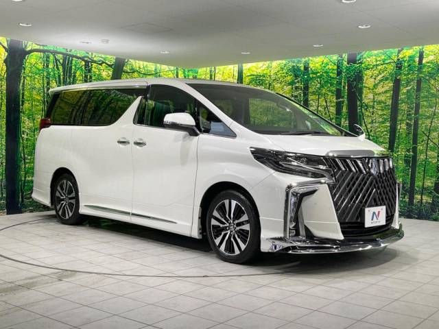 Toyota ALPHARD 2021-03 9929-17