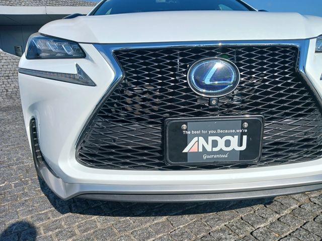 Lexus NX 2015-10 10453-5