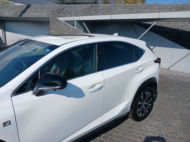 Lexus NX 2015-10 10453-4