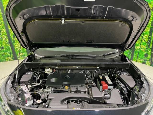Toyota RAV4 2023-05 20830-18