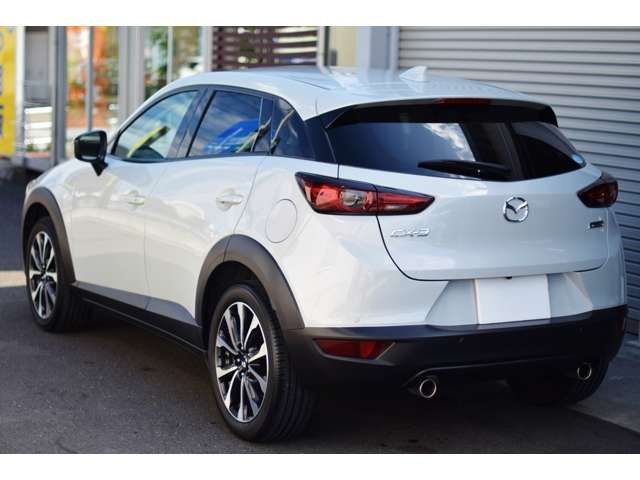 Mazda CX-3 2018-09 2950-2