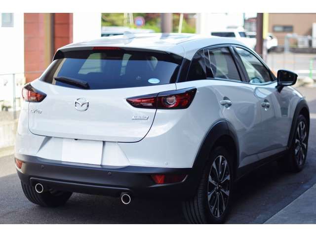 Mazda CX-3 2018-09 2950-8
