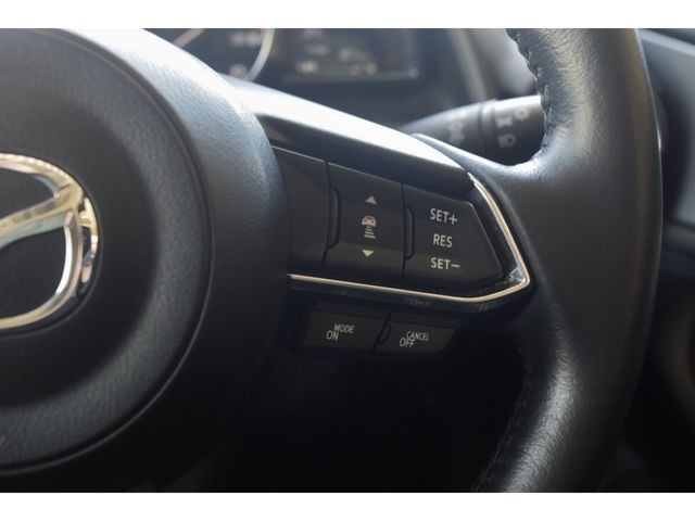 Mazda CX-3 2018-09 2950-29
