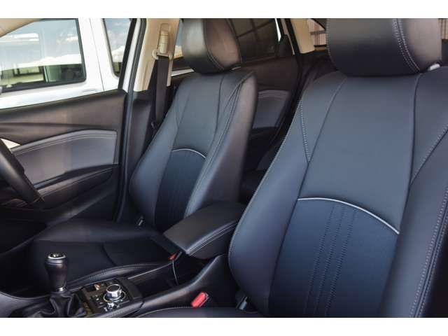 Mazda CX-3 2018-09 2950-7
