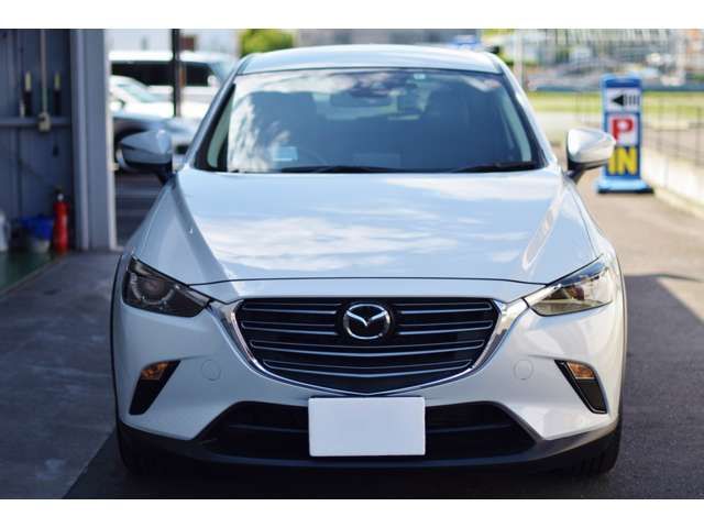 Mazda CX-3 2018-09 2950-6