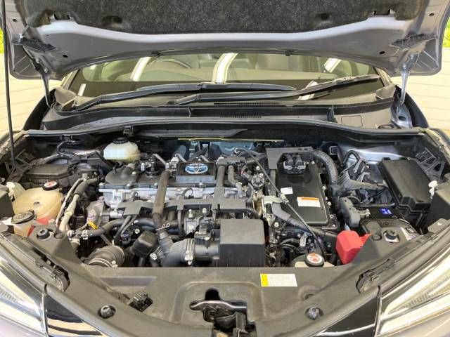 Toyota C-HR 2018-11 181159-18