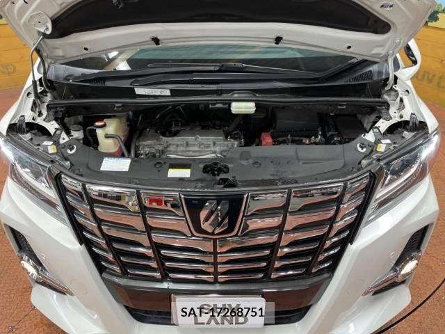 Toyota ALPHARD 2017-03 220910-18
