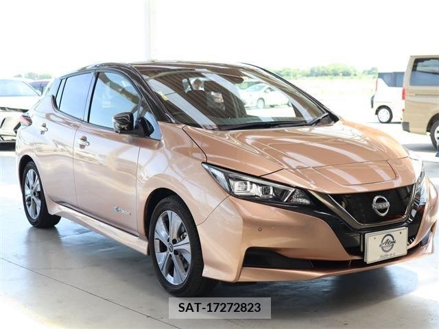 Nissan LEAF 2021-10 342216-2