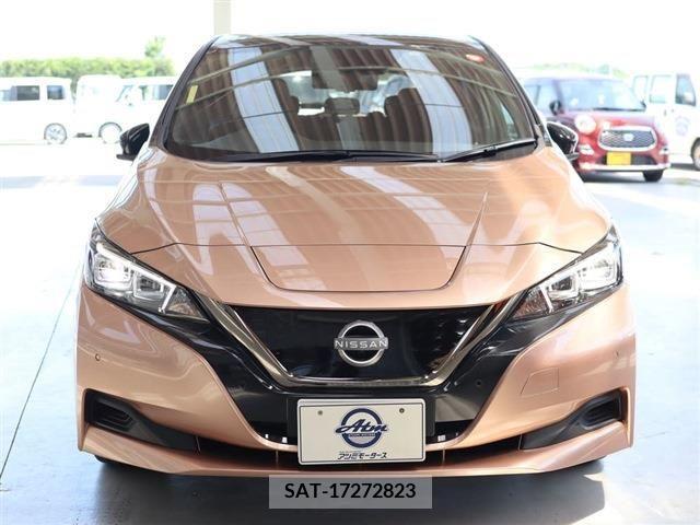 Nissan LEAF 2021-10 342216-1