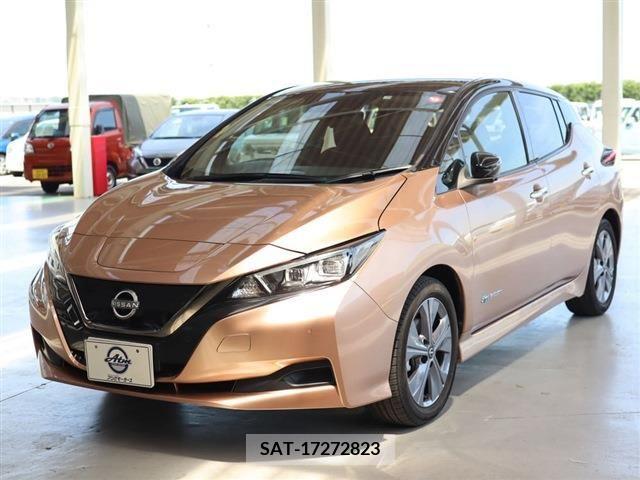 Nissan LEAF 2021-10 342216-0
