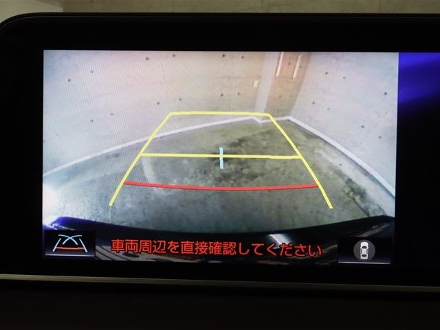 Lexus RX 2017-02 193319-13