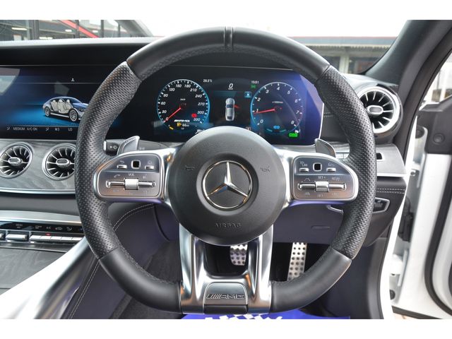 Amg GT 2019-11 18239-7