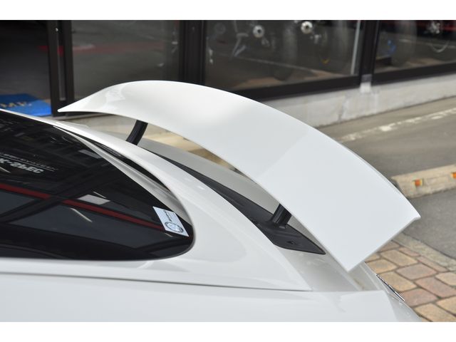 Amg GT 2019-11 18239-20