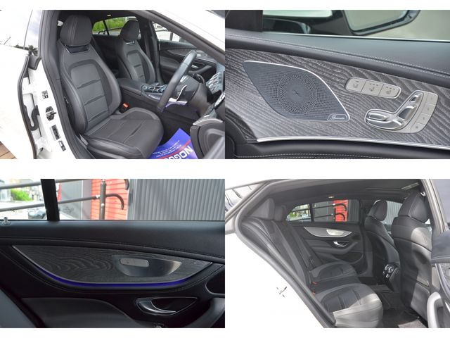 Amg GT 2019-11 18239-29