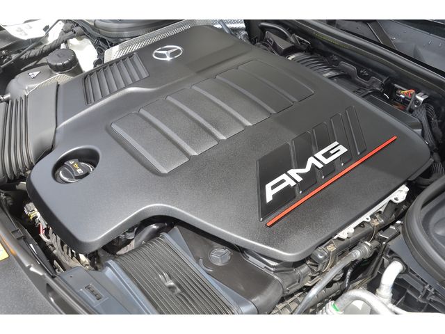 Amg GT 2019-11 18239-22