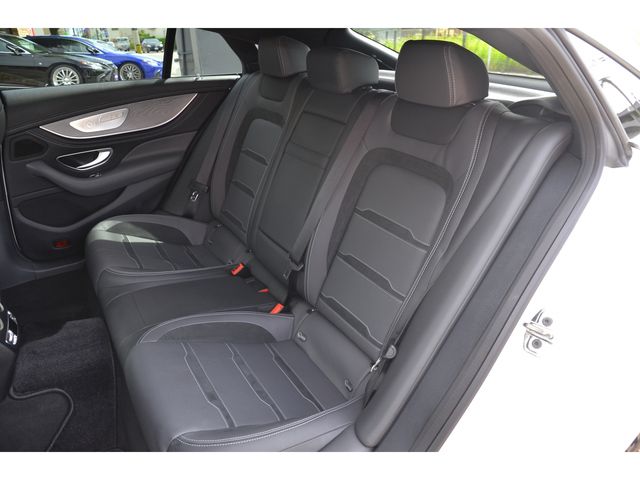 Amg GT 2019-11 18239-15