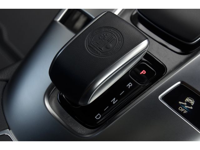 Amg GT 2019-11 18239-12