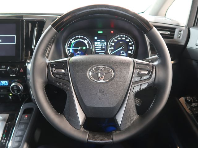 Toyota ALPHARD HYBRID 2019-06 13788-12