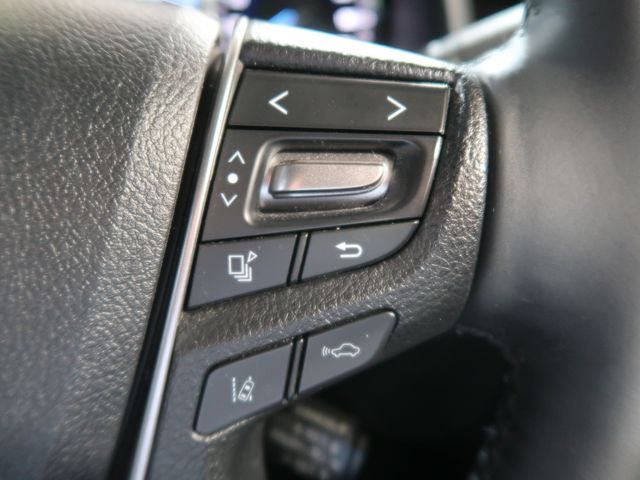 Toyota ALPHARD HYBRID 2019-06 13788-20