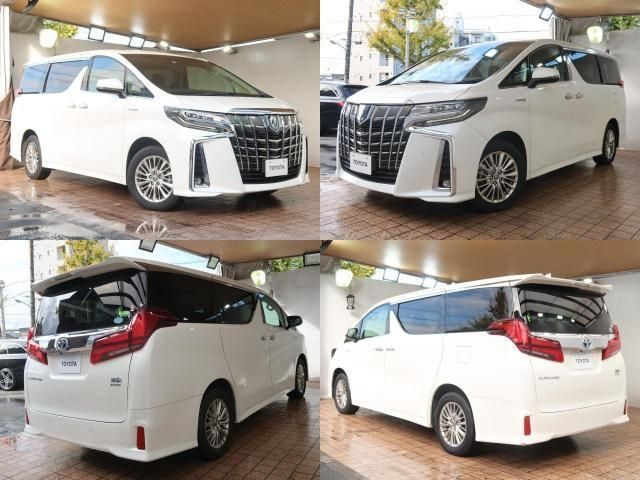 Toyota ALPHARD HYBRID 2019-06 13788-1