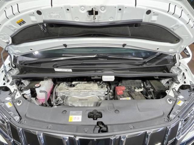 Toyota ALPHARD 2022-09 191740-19