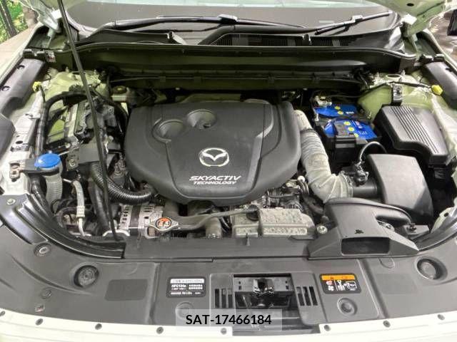 Mazda CX-8 2019-06 308563-19