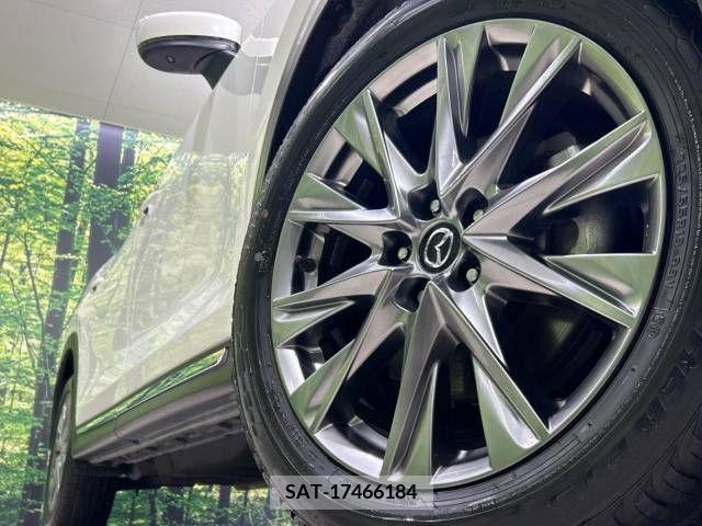 Mazda CX-8 2019-06 308563-14