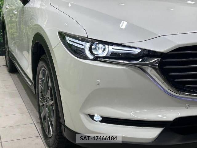 Mazda CX-8 2019-06 308563-13