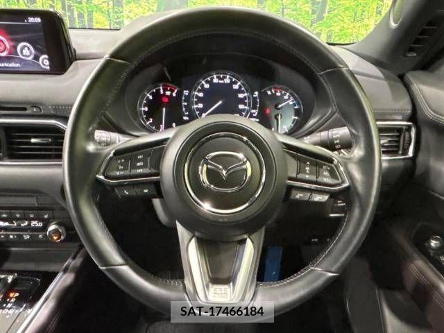 Mazda CX-8 2019-06 308563-12