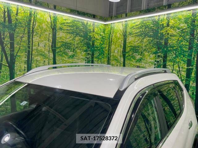 Nissan X-TRAIL 2016-01 290464-5