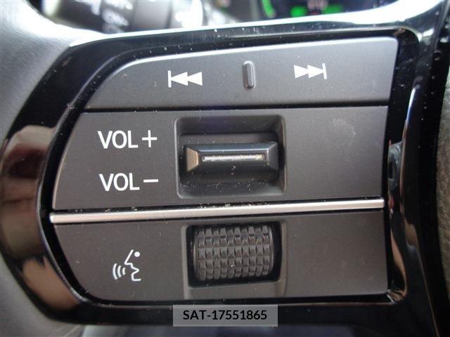 Honda STEP WGN 2023-08 385651-25