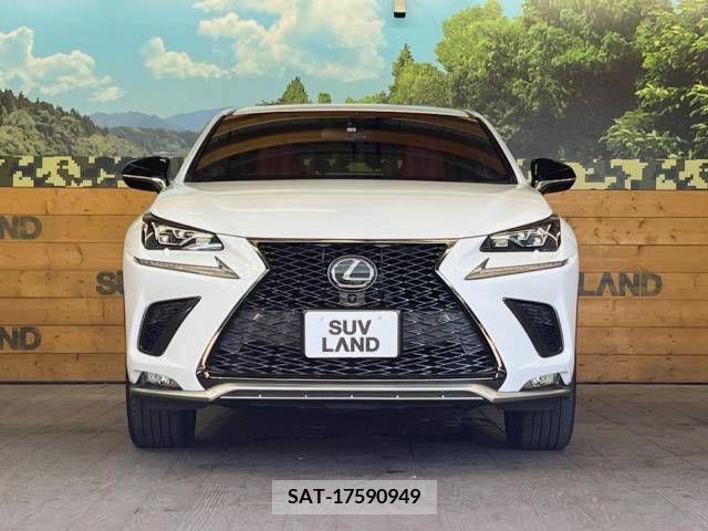 Lexus NX 2018-04 362917-14