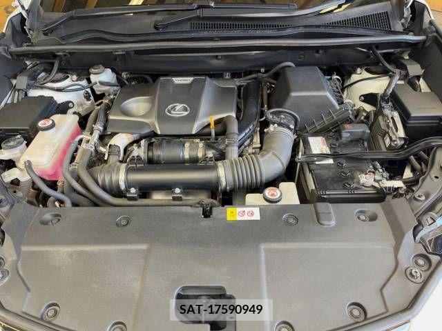 Lexus NX 2018-04 362917-18