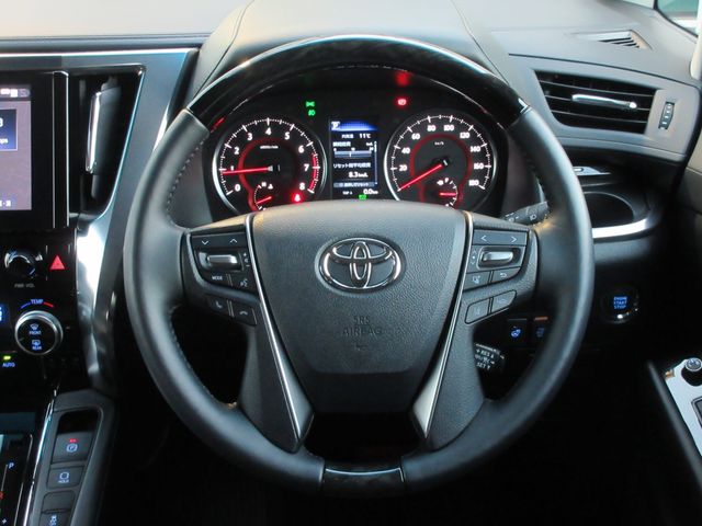 Toyota ALPHARD 2023-02 196555-22