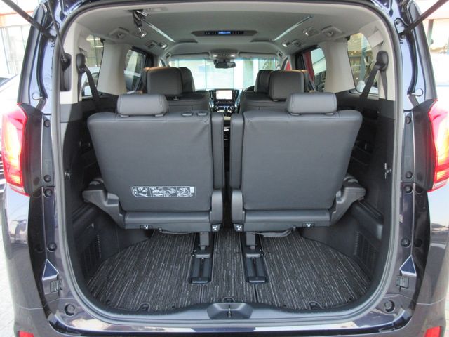 Toyota ALPHARD 2023-02 196555-13