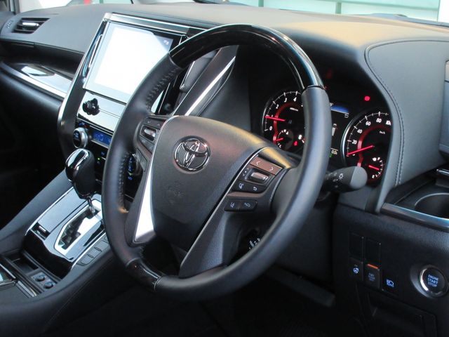 Toyota ALPHARD 2023-02 196555-21