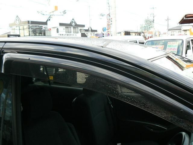 Toyota ISIS 2010-01 181843-24