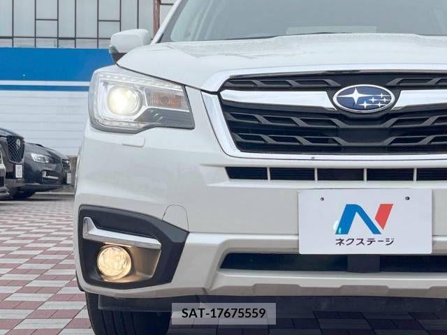 Subaru FORESTER 2017-03 235193-12